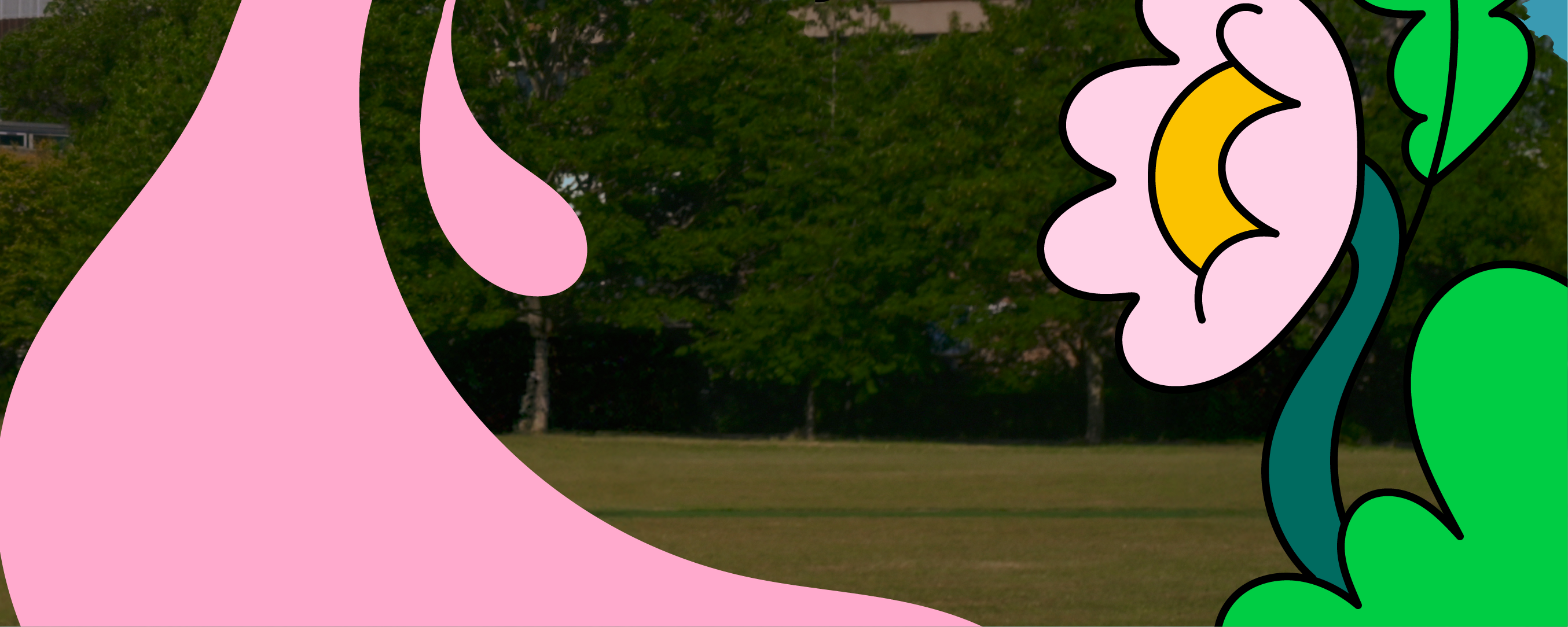 Your ultimate guide to life at University