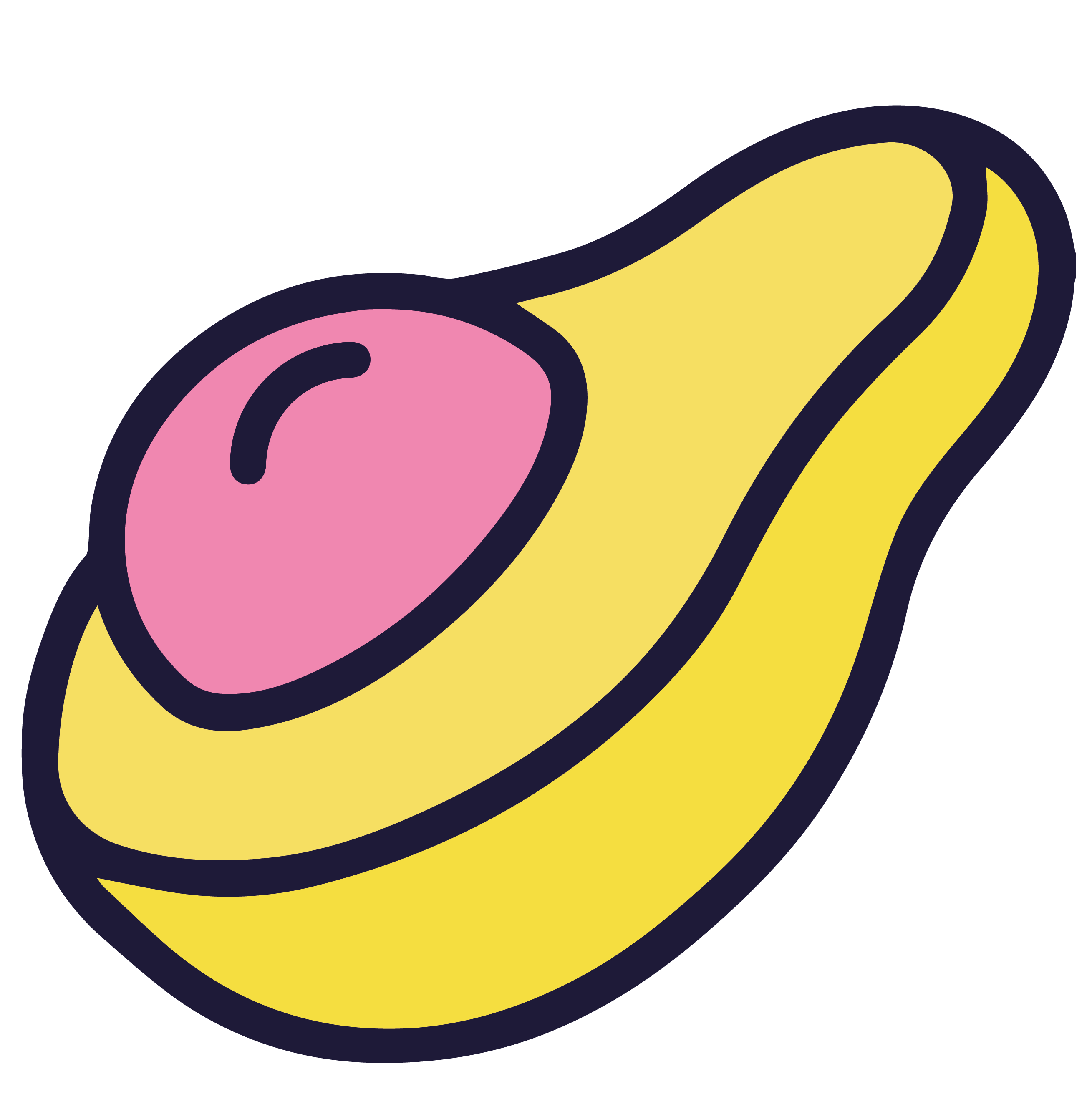 illustration of avocado 