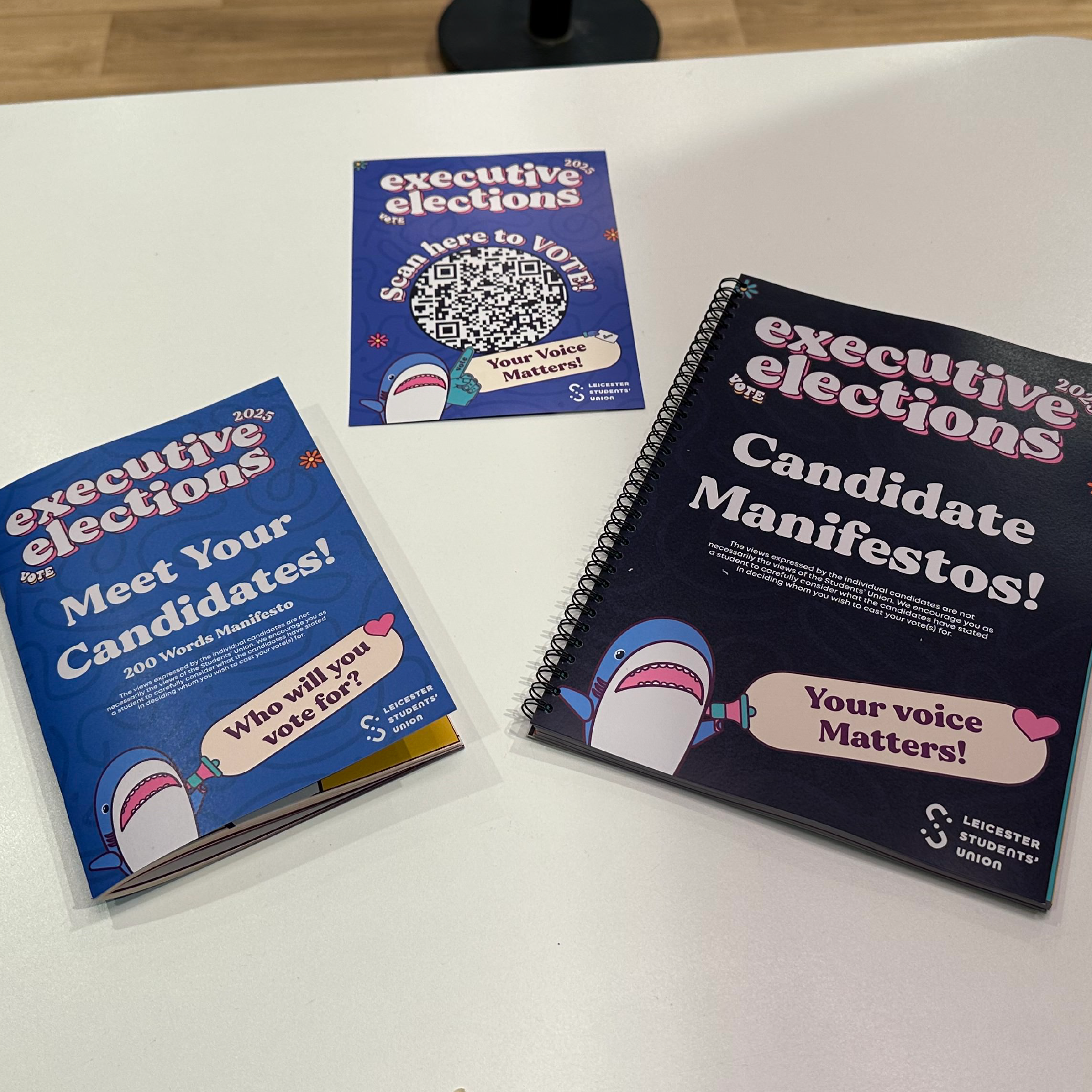 Photo of information booklets for elections