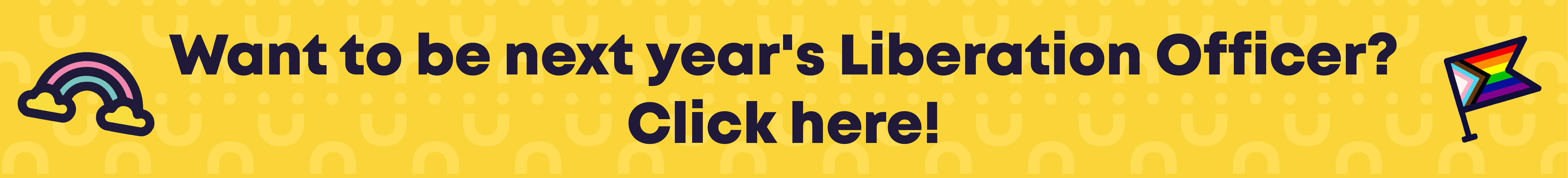 Want to be next year's Liberation Officer? Click here!