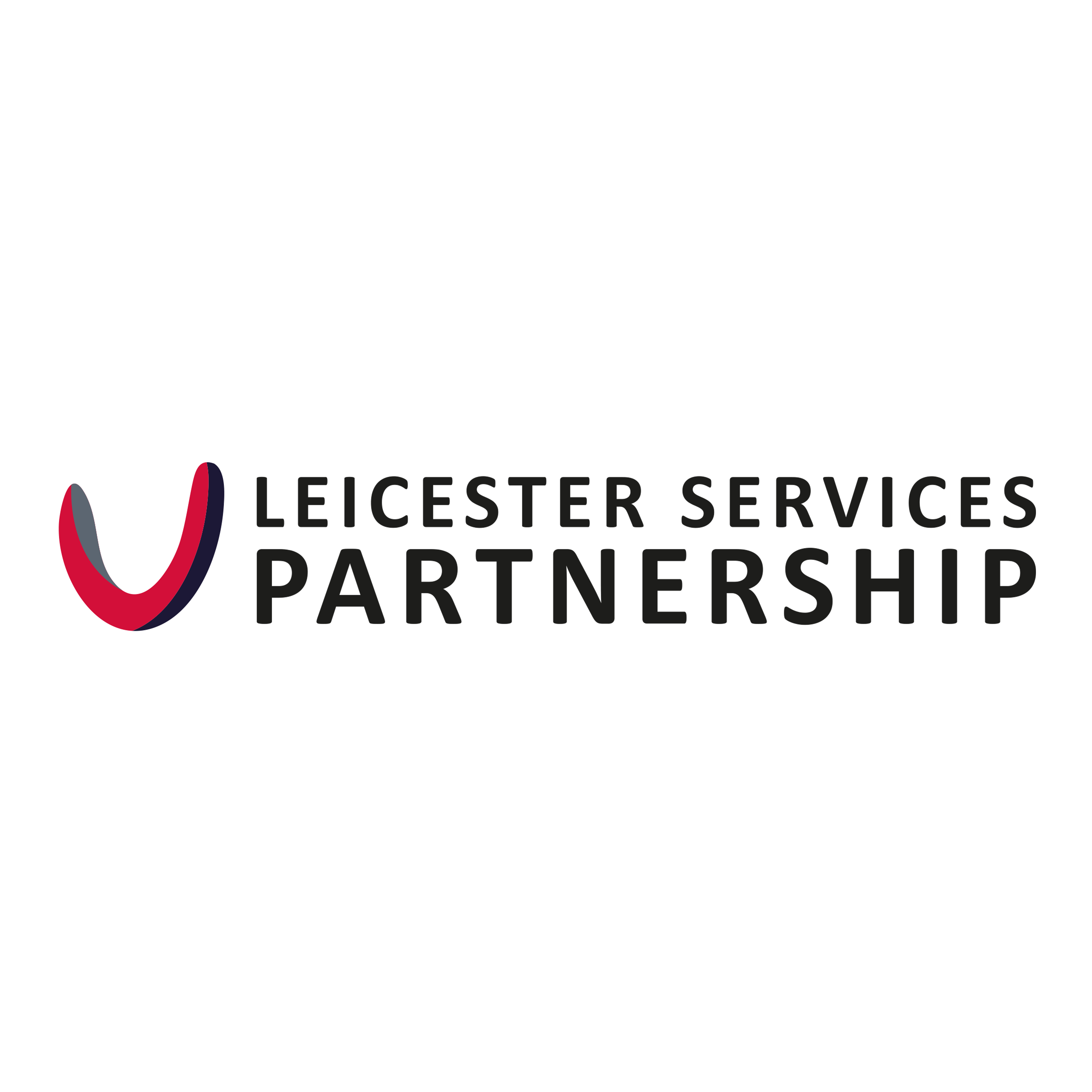 Leicester Services Partnership logo